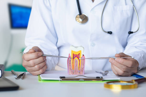 Best Emergency Dental Care for Broken or Chipped Teeth in Yorktown Heights, NY